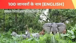 100+ जंगली जानवरों के नाम अंग्रेजी में animals name in hindi